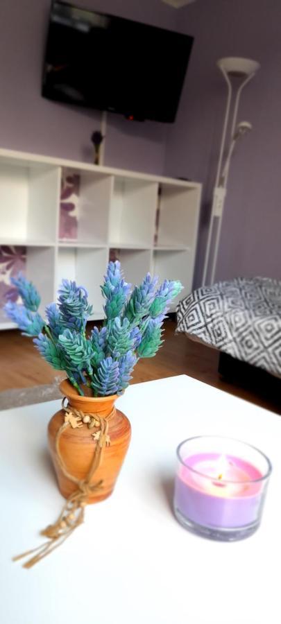 Privat overnatting Goscinne U Ani - *